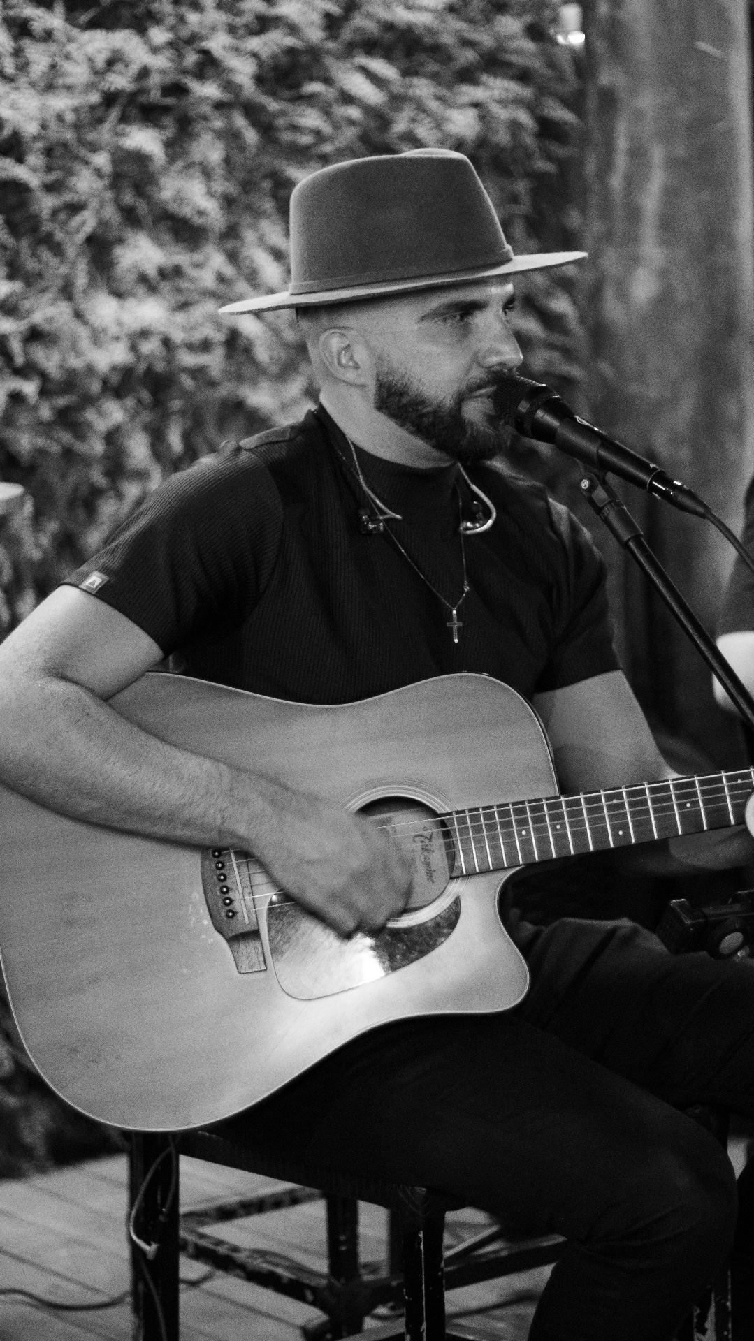 Show no dona antonia